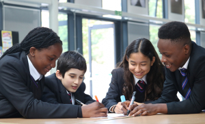 Mulberry College of Teaching - diversity in teacher training